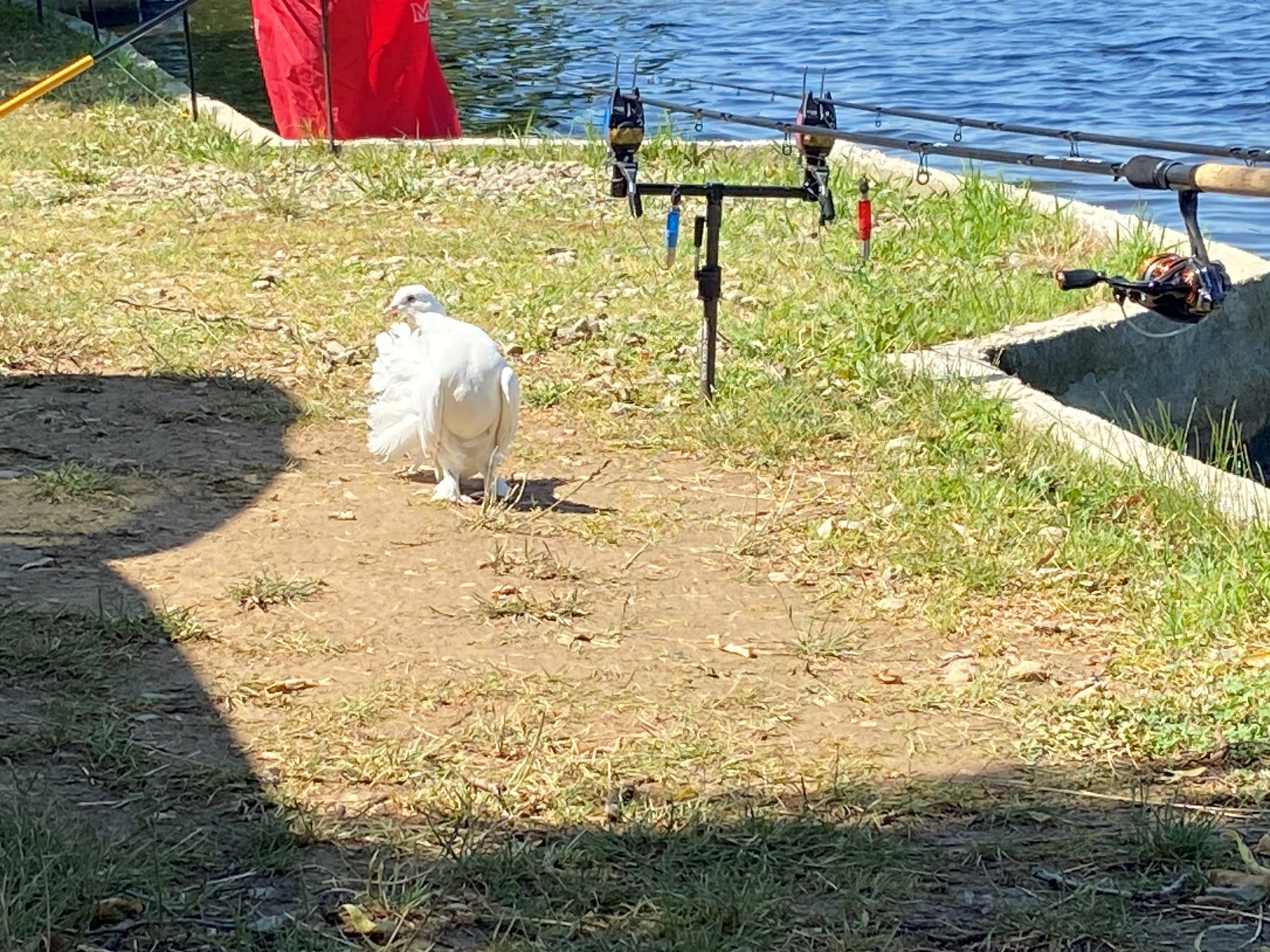 Dupa ani si ani ma voi intoarce T2/2023  - IMG2928.jpg